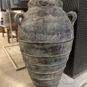 Terrakottavas Shivani